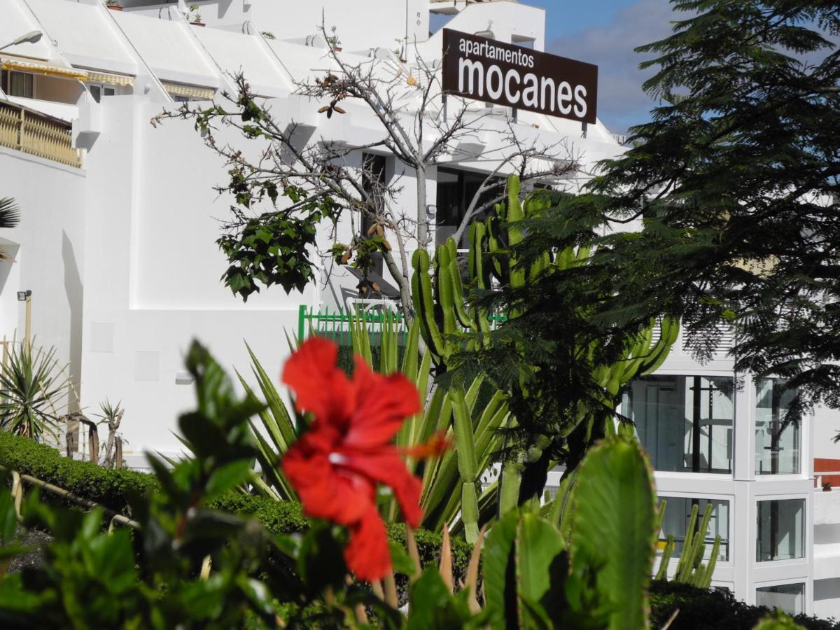 Apartamentos Los Mocanes Puerto Rico (Gran Canaria) Exterior foto
