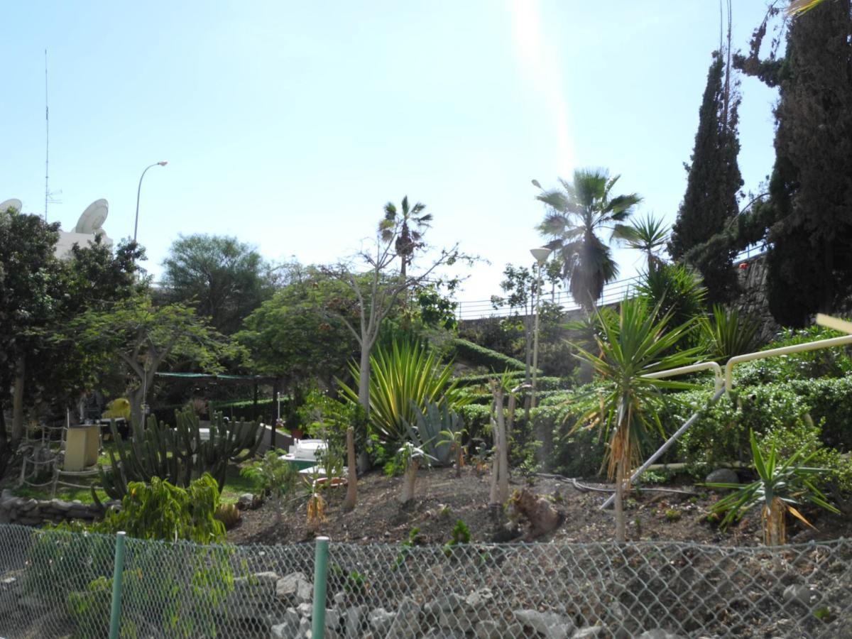 Apartamentos Los Mocanes Puerto Rico (Gran Canaria) Exterior foto
